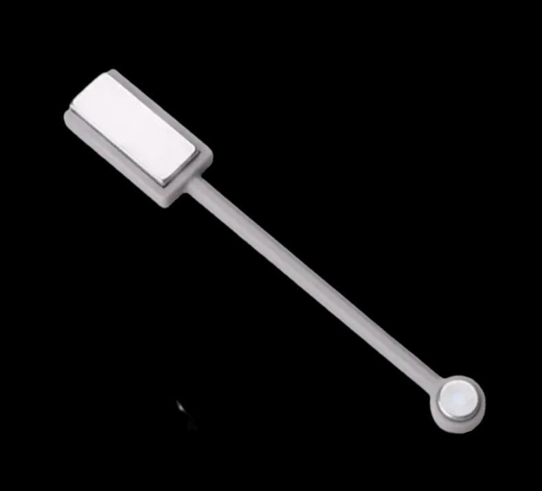 Paleta imantada